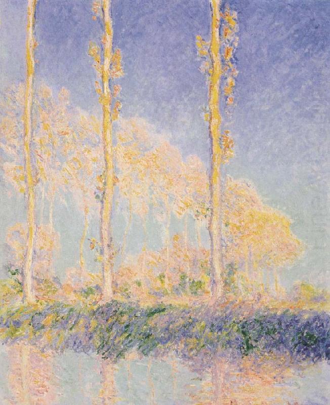 Three Poplars,Autumn Effect, Claude Monet